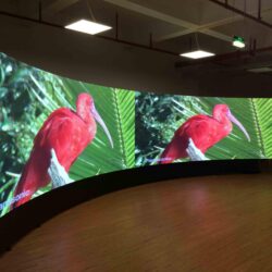 Flexible İç Mekan LED Ekran