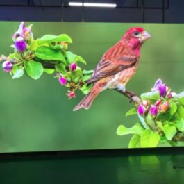 P2.5 GOB İç Mekan LED Ekran P2.5 GOB İç Mekan LED Ekran